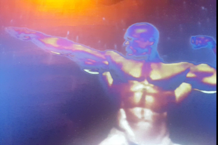 The Song of the Whales